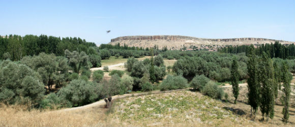 Aşıklı Höyük: The Generative Evolution of a Central Anatolian PPN  Settlement in Regional Context