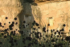 Doves of Cappadocia